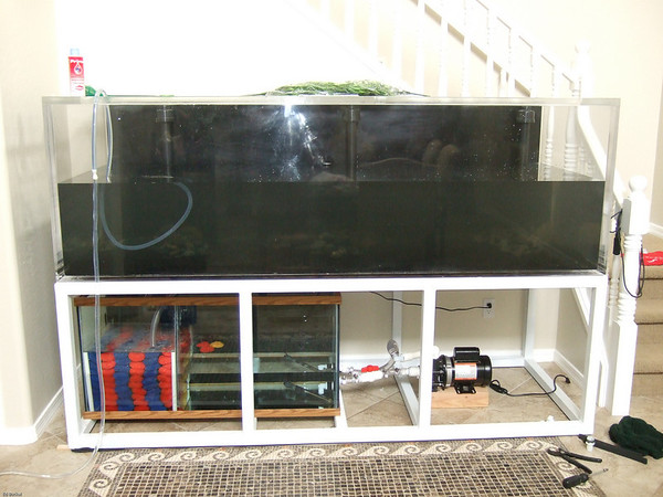 696060077_XixhH-M.jpg