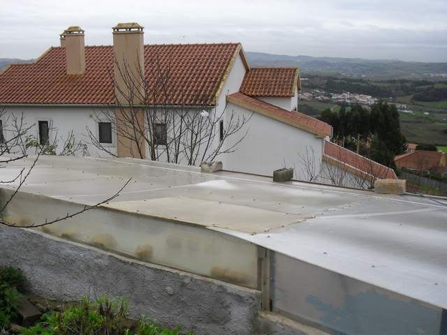 CIMG0337.jpg