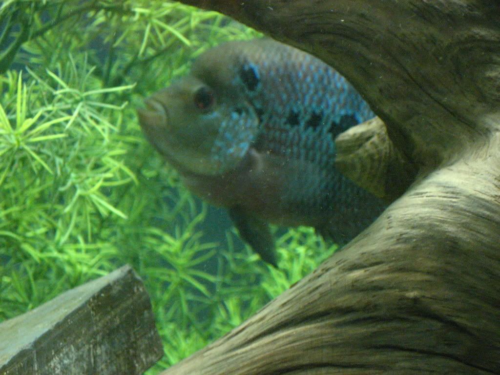 IMG_0855.jpg