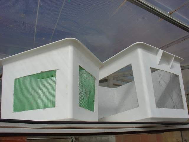 DSC06205.jpg