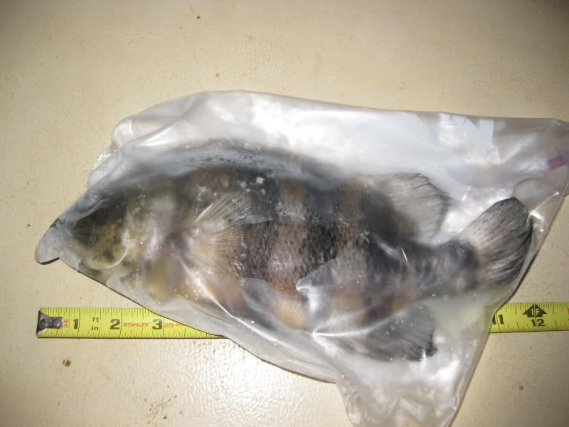 10-26-09001.jpg