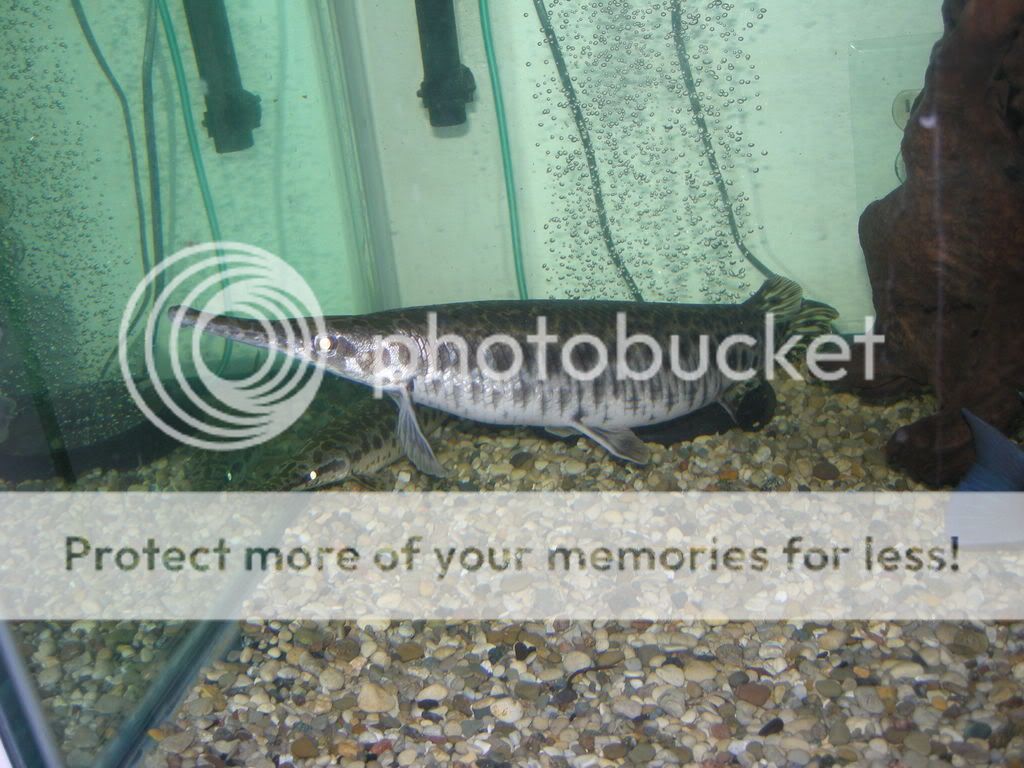 DSCN5566.jpg