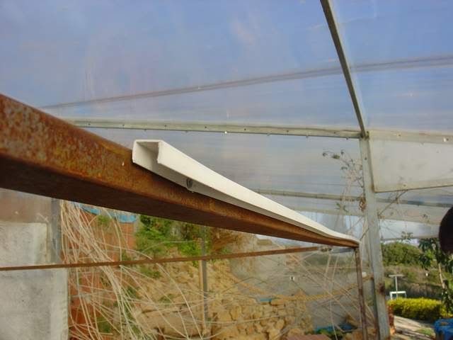 DSC04630.jpg