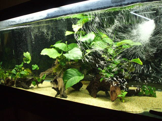 DSCF1135.jpg