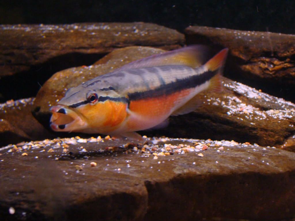 DSC09223.jpg
