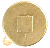 brass-clean-out-plug.jpg