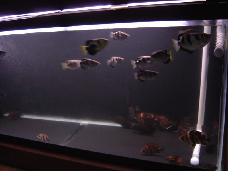 7-18-08037.jpg