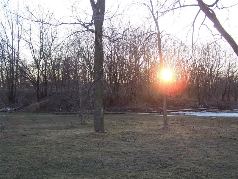 100_2889Medium.jpg