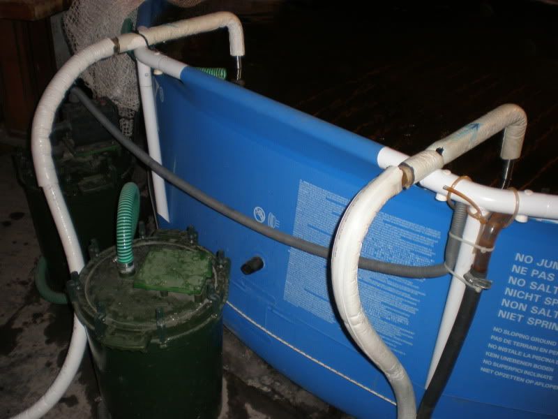 PA290005.jpg