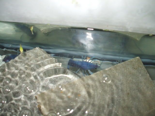 DSCF0967.jpg