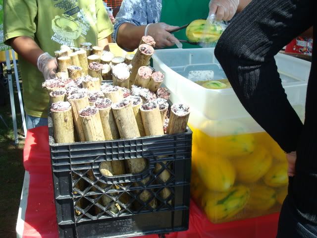 DSC07427.jpg