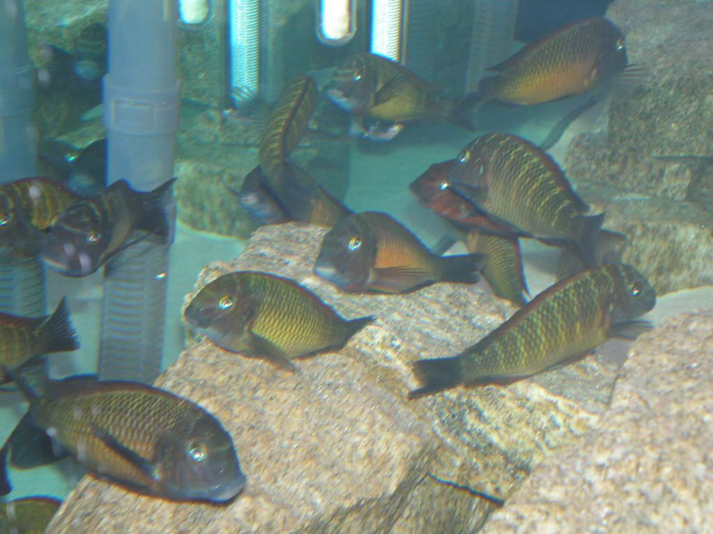 PA210912.jpg