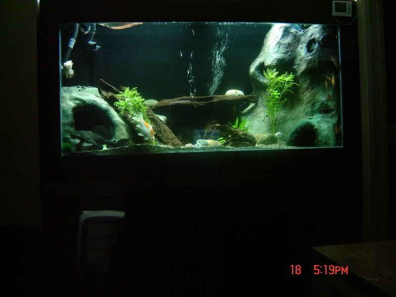 DSC01334.jpg