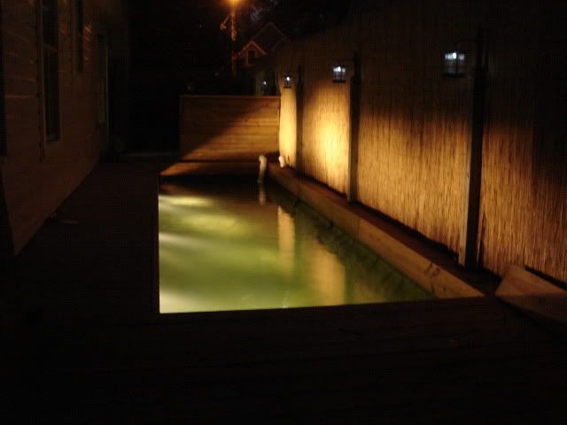 DSC05356.jpg