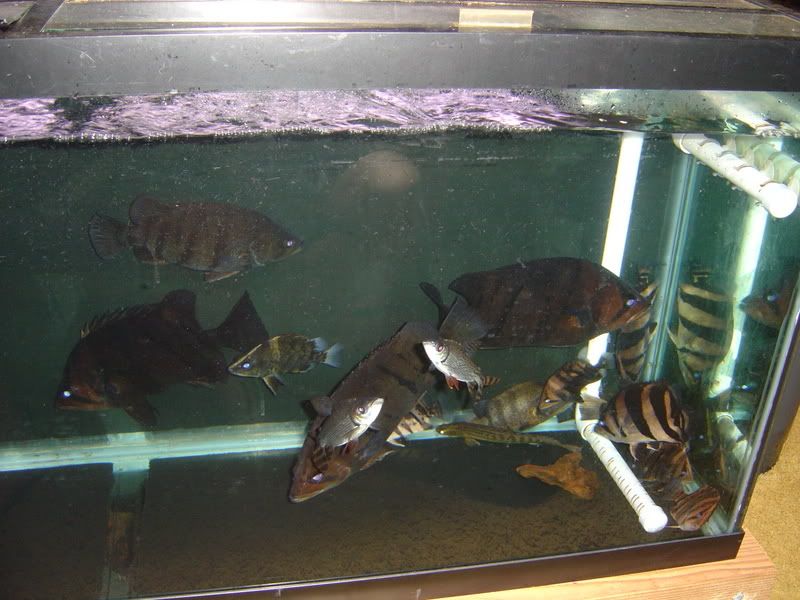11-19-07045.jpg