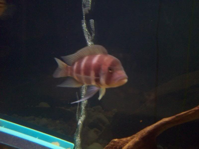 100_2937.jpg
