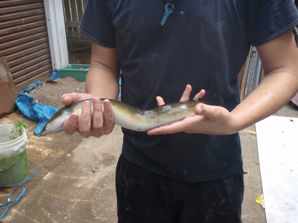 PA040054.jpg