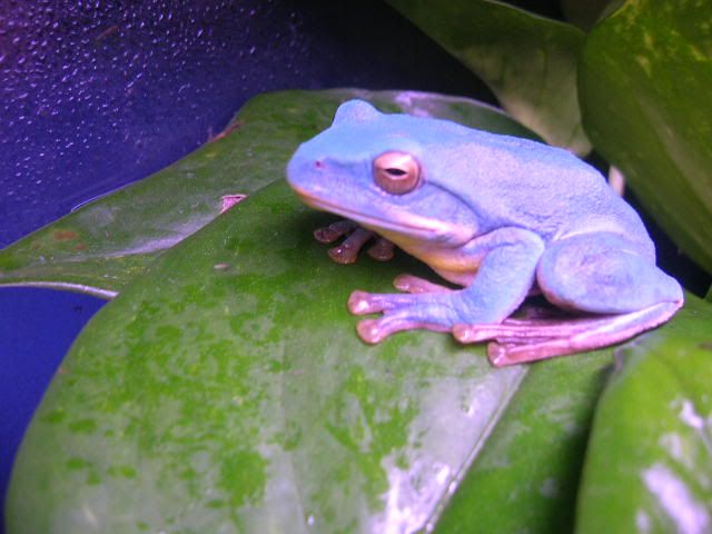 DSCN5540.jpg