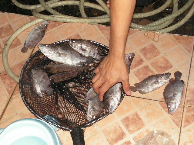 PICT0730.jpg