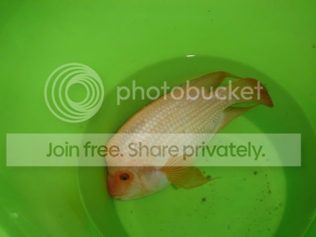 DSC01015.jpg