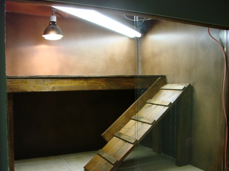 DSC00152.jpg