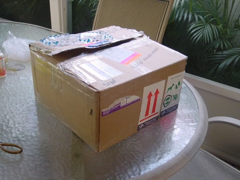 DSC00001.jpg