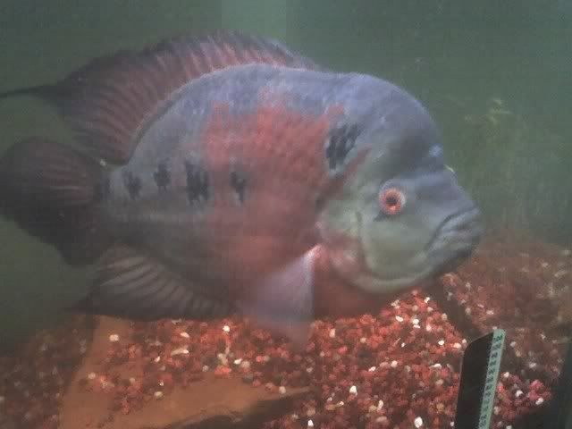 03-18-07_1133.jpg