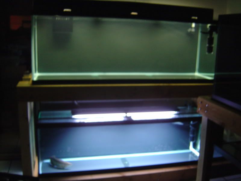 4-28-08004.jpg