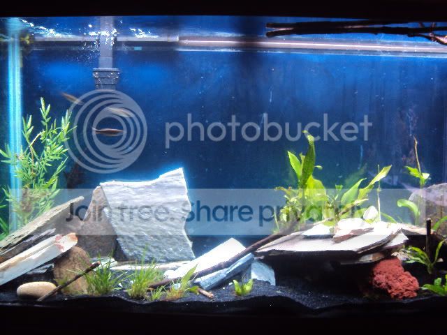 DSC00279.jpg