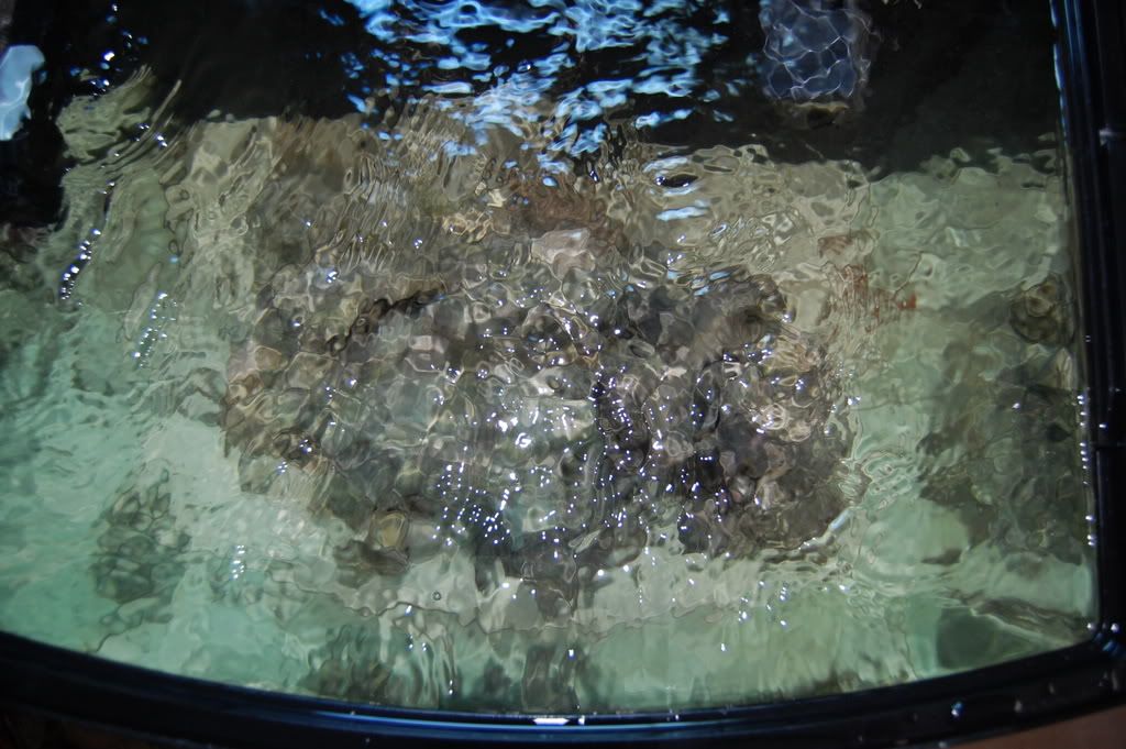NanoCube7.jpg