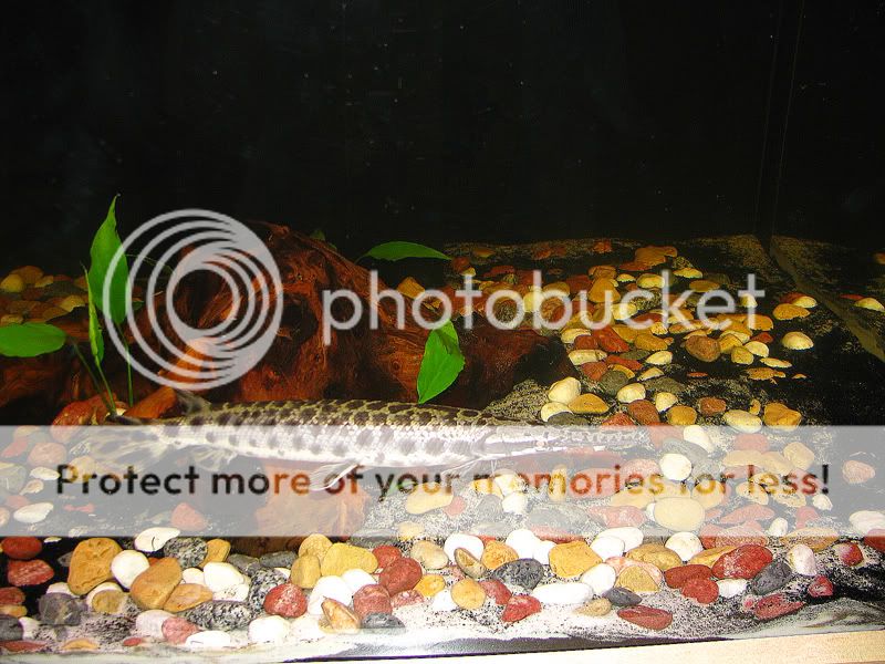 IMG_087533.jpg
