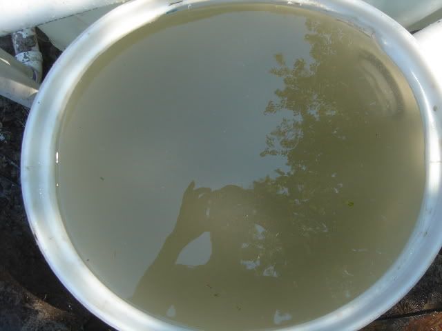 DSC05134.jpg