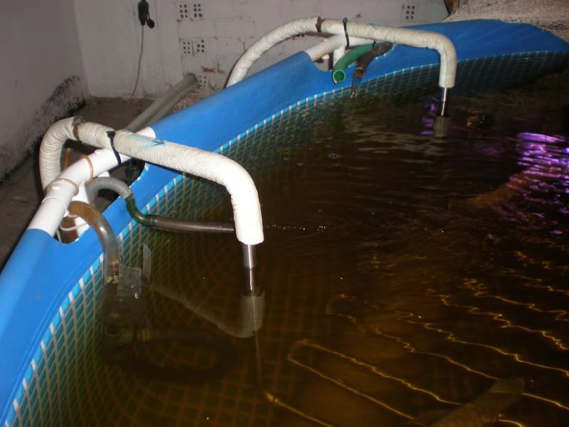 PA290002.jpg