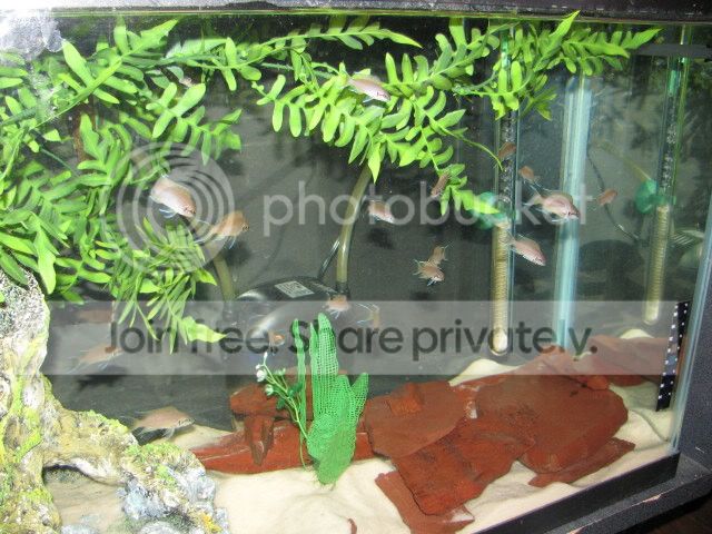 IMG_0019.jpg
