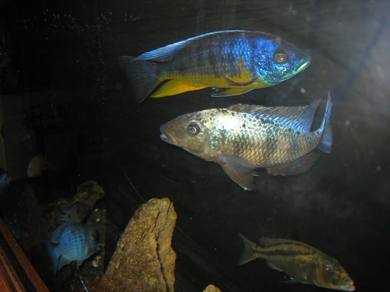 IMG_4794.jpg