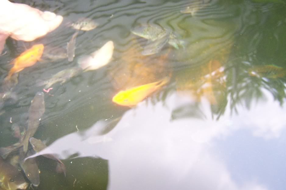 100_1536.jpg