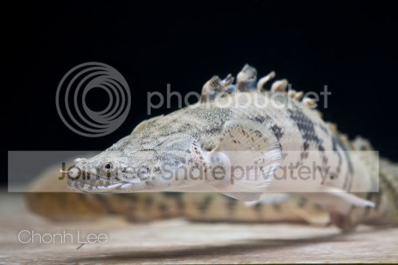 _MG_2885.jpg