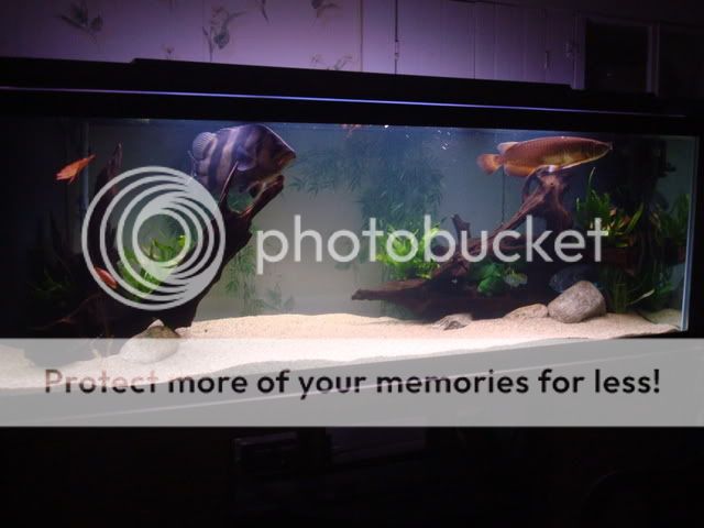 DSC04310.jpg