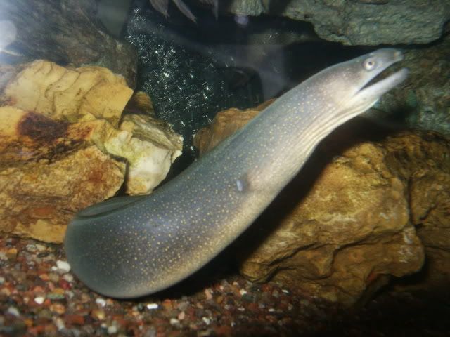 PICT8859.jpg