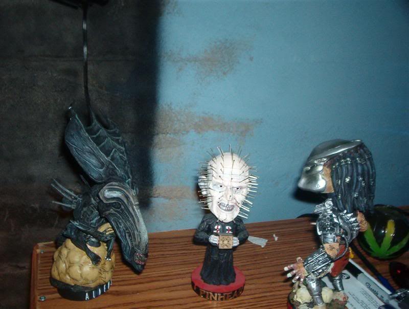 avp003Medium.jpg