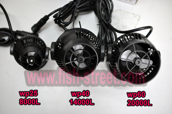 wp60_compare3.jpg