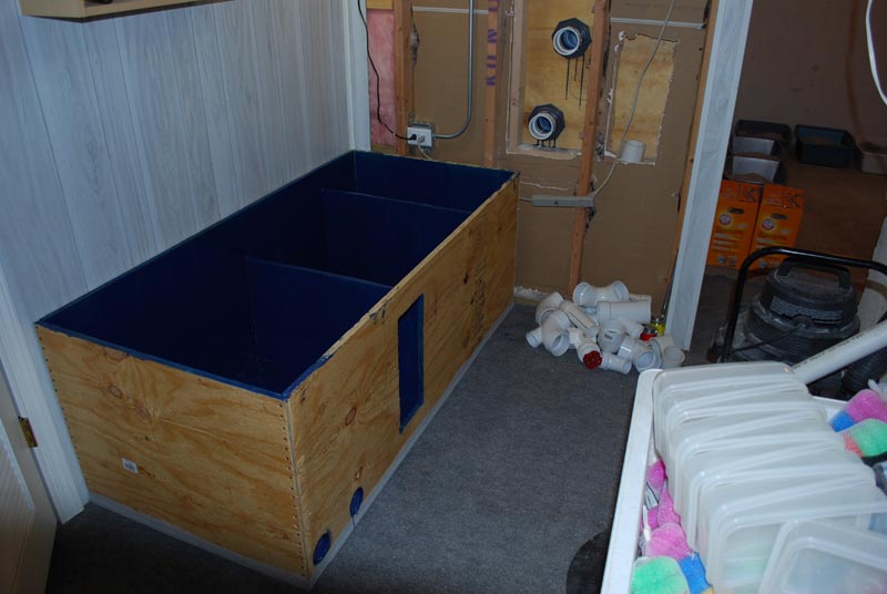 DSC_0144.JPG