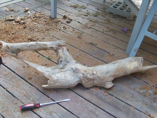 log.jpg