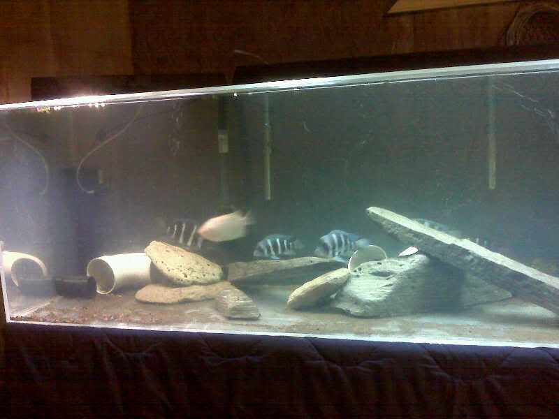 IMG00519.jpg