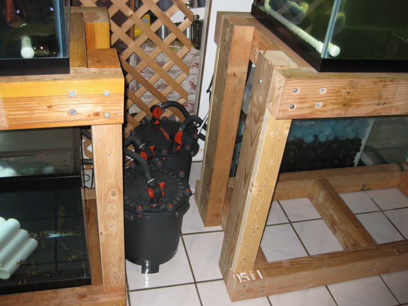 3-17-09047.jpg