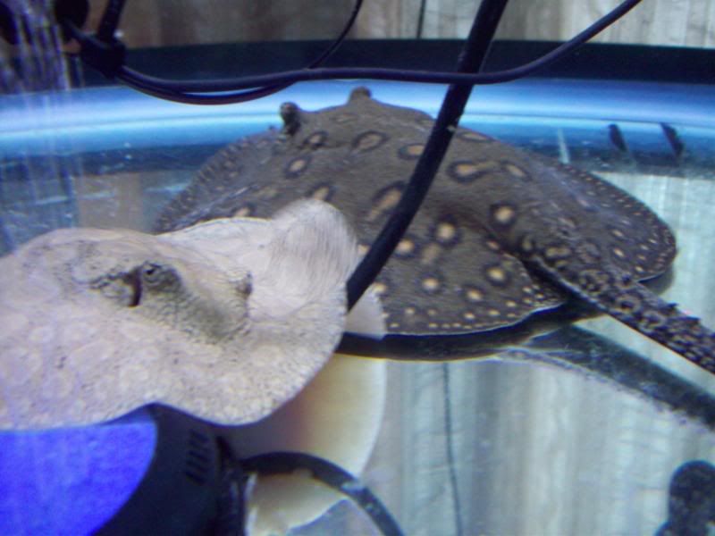 100_2920.jpg