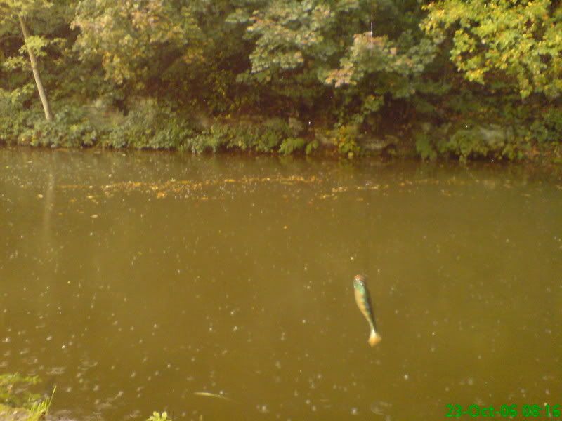 DSC00075.jpg