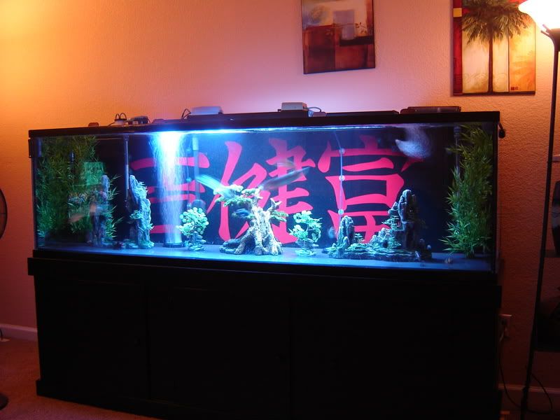 DSC06041.jpg