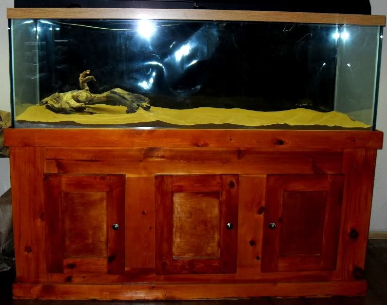 SDC11686.jpg
