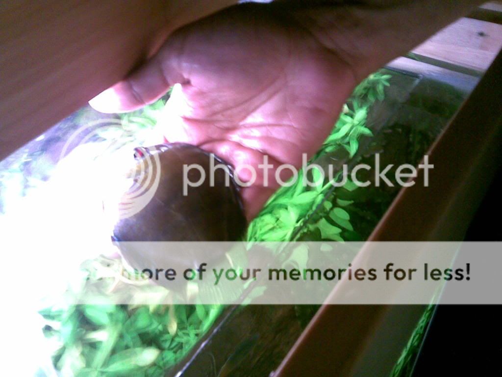 15052009007.jpg